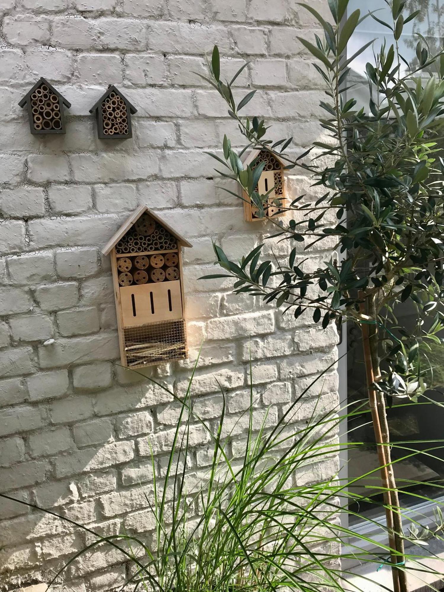 B&B La Ruelle โพรฟงเดอวีลล์ ภายนอก รูปภาพ
