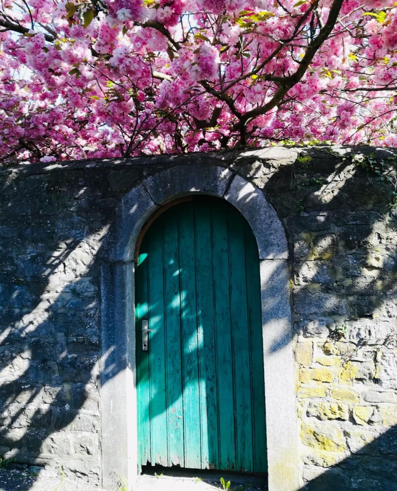 B&B La Ruelle โพรฟงเดอวีลล์ ภายนอก รูปภาพ